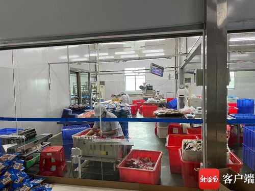 天天315 115袋香脆椰子塊菌落總數超標 海南一食品公司被罰沒6.6萬余元